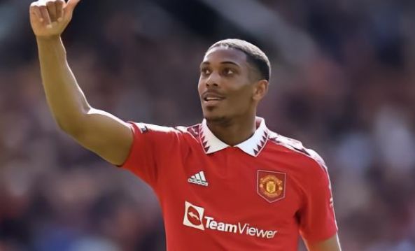 术多元化 术多元化